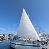 c96d532c-9c76-4cee-9483-90e7f4a5b552