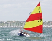 scow-sailing-1