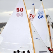 seabird-sailing