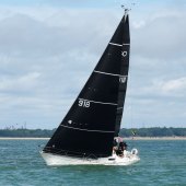 Solan Goose - Sanders Sails