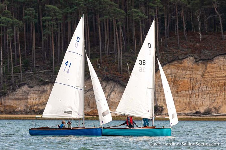 Sanders One Design Sails